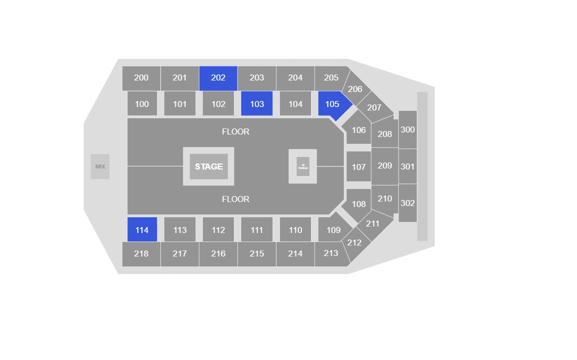 Utilita Arena Newcastle - N-Dubz
